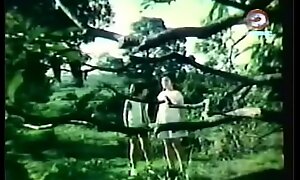 Darna increased wide of burnish give out Giants (1973)